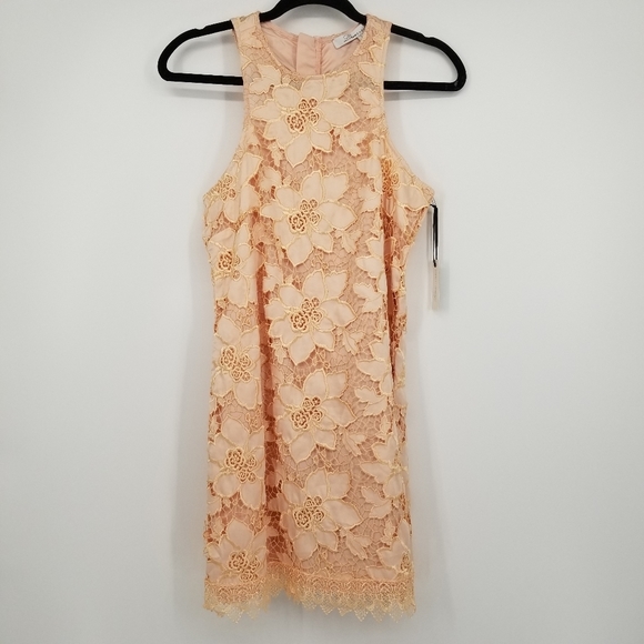 Lovers + Friends | NWT Caspian Lace Sleeveless Shift Mini Dress - Picture 2 of 11